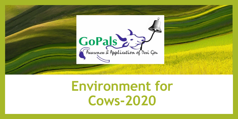 E-banner of Environment For Cows - 2020.