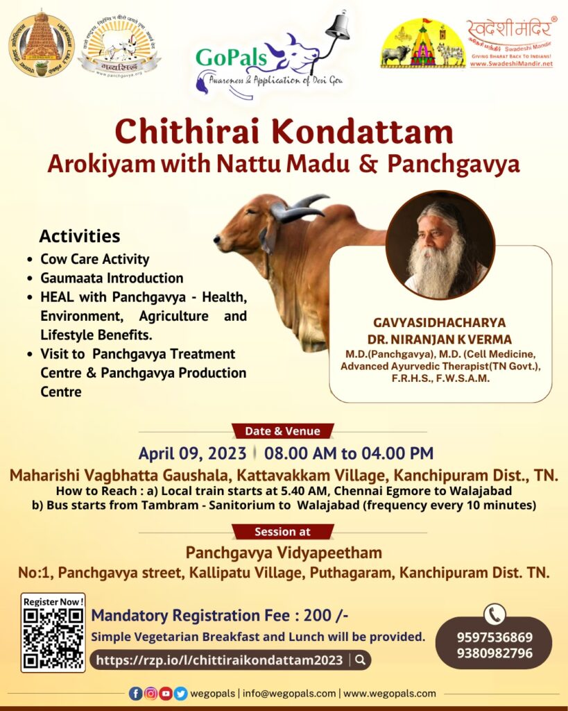 Chithirai Kondattam – Arokiyam with Nattu Madu & Panchagavya