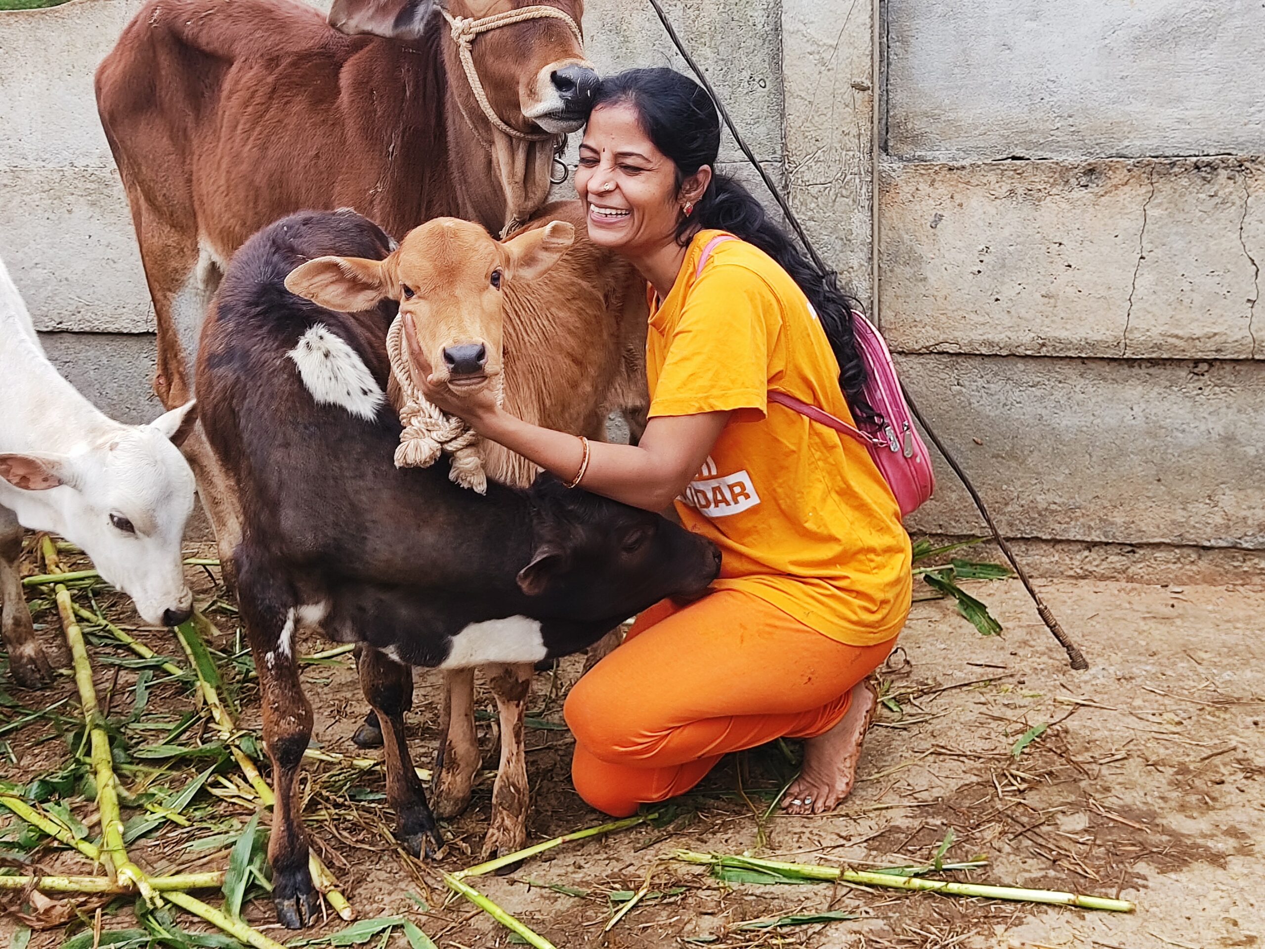 A GoPals woman volunteer celebrates National Cow Day by joyfully hugging calves.