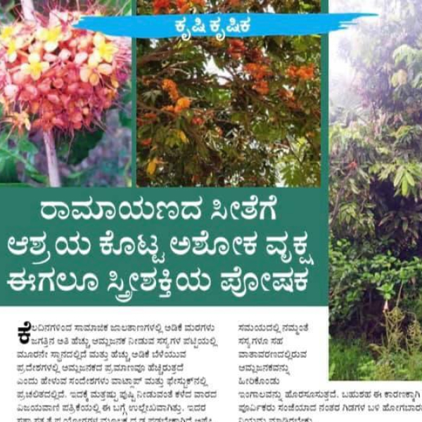 A news article in Kannada.