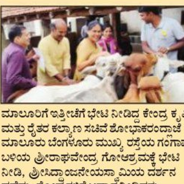 Honourable Minister of State Sushri Shobha Karandlaje with Team GoPals Volunteers and Desi Cows Celebrating National cow’s day on July 10th, 2022.