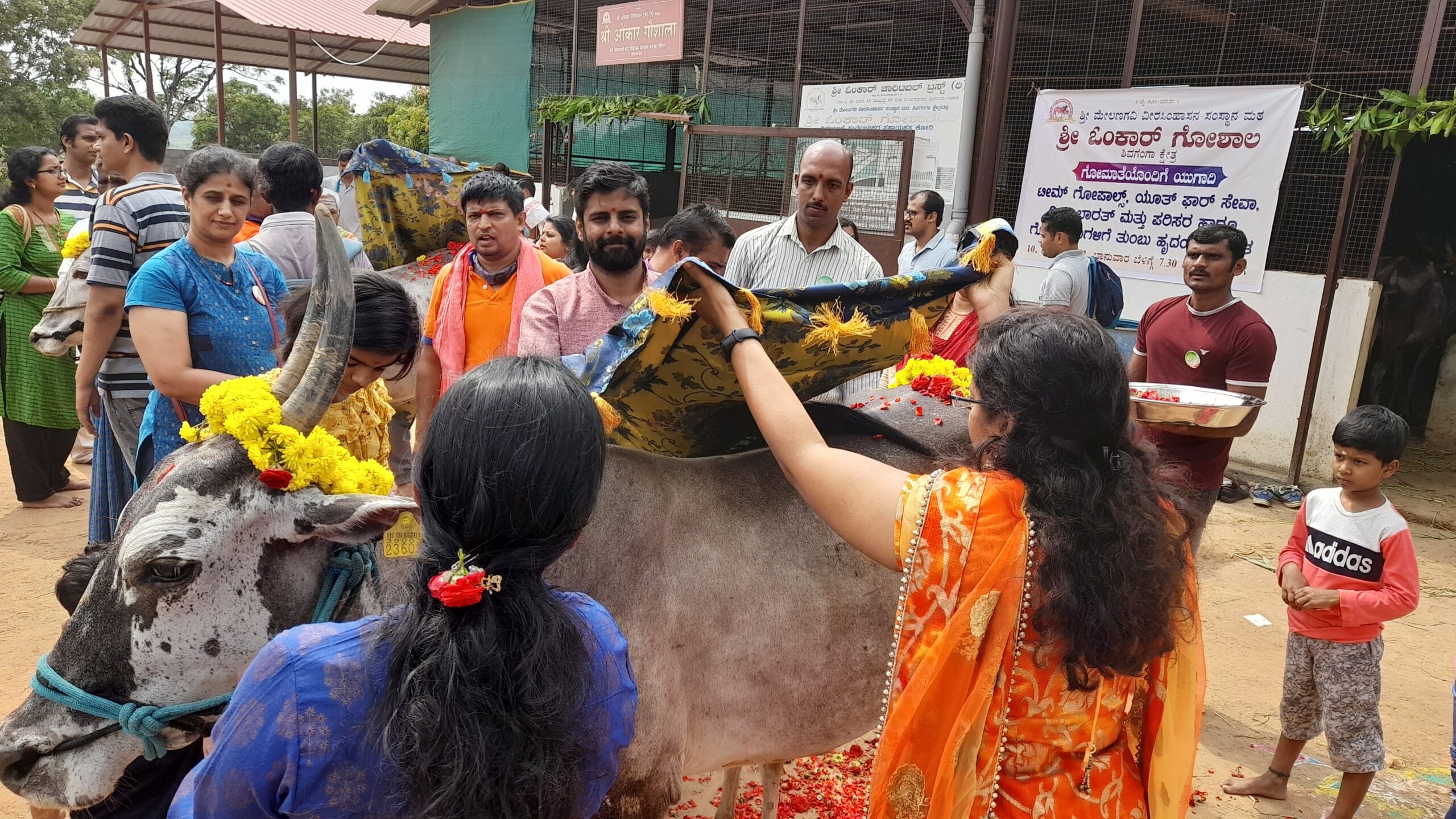 GoPals volunteers are celebrating Ugadi with a cow pooja.